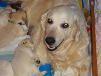 /album/fotogalerie/a25-6-2013-009-jpg/